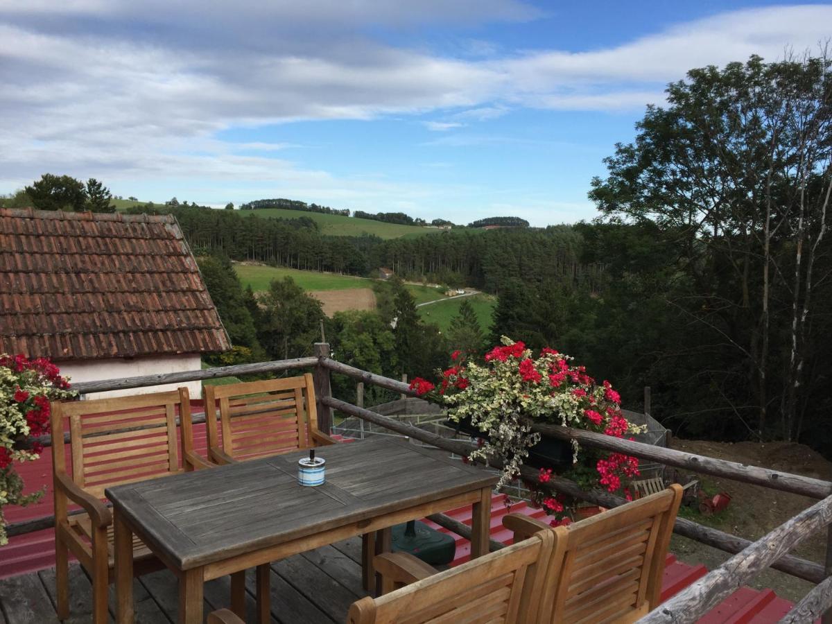 فيلا Haflingerhof Luef Bad Schönau المظهر الخارجي الصورة