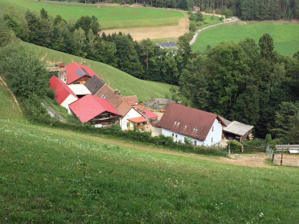 فيلا Haflingerhof Luef Bad Schönau المظهر الخارجي الصورة