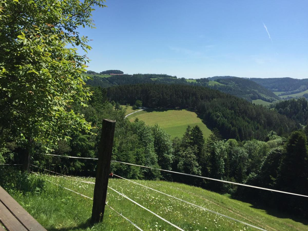 فيلا Haflingerhof Luef Bad Schönau المظهر الخارجي الصورة