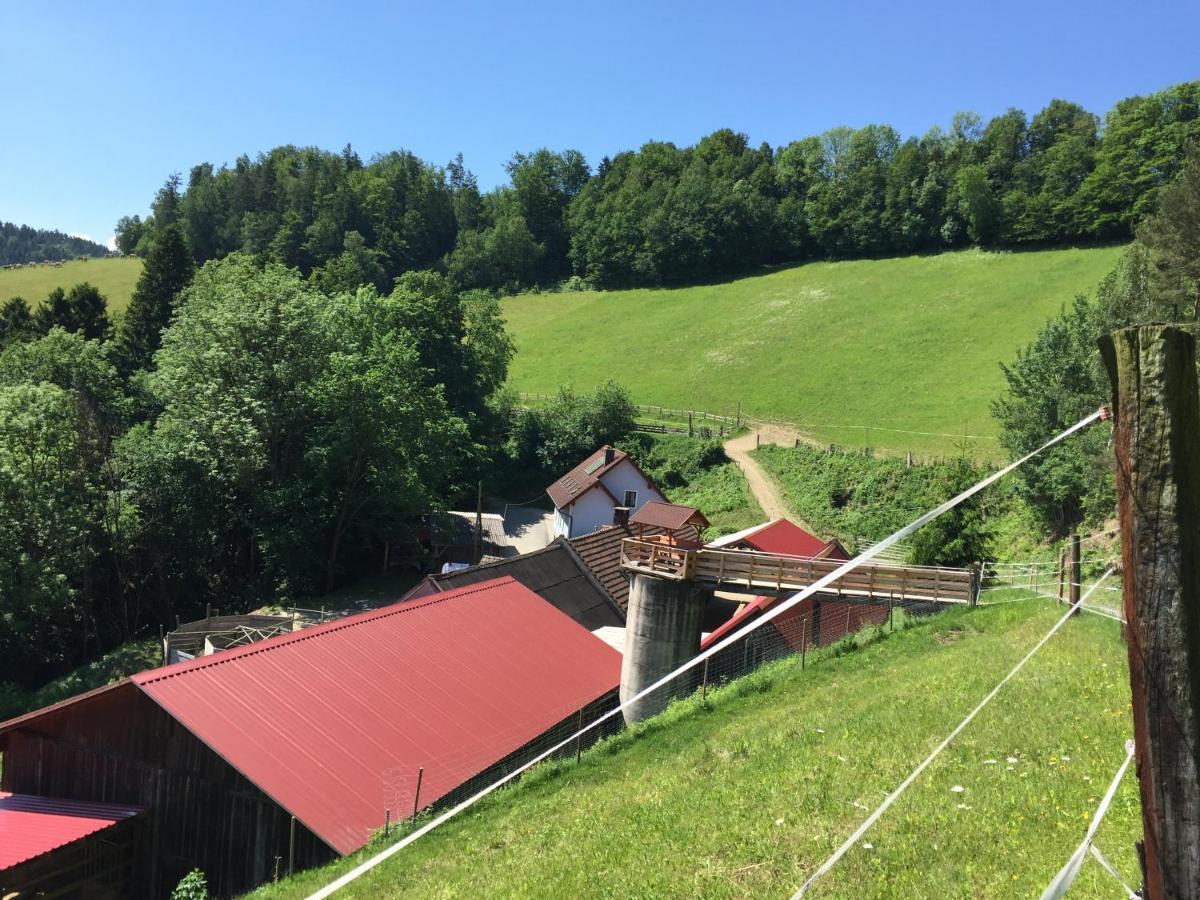 فيلا Haflingerhof Luef Bad Schönau المظهر الخارجي الصورة