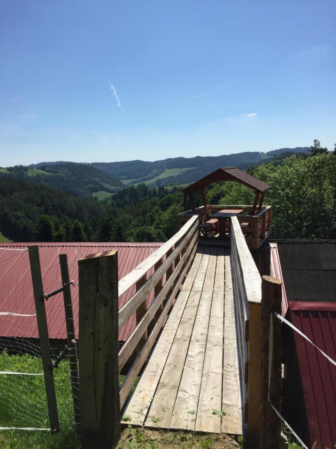 فيلا Haflingerhof Luef Bad Schönau المظهر الخارجي الصورة