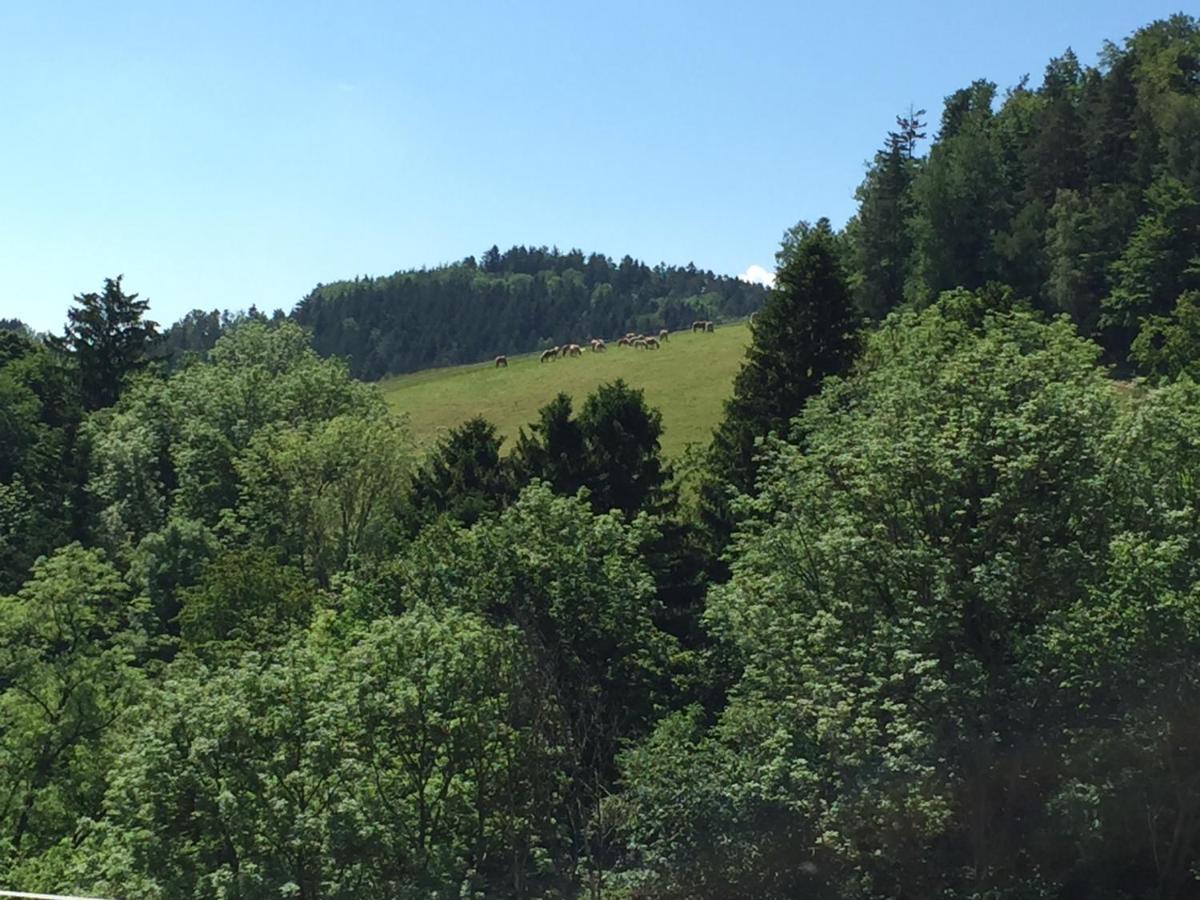 فيلا Haflingerhof Luef Bad Schönau المظهر الخارجي الصورة